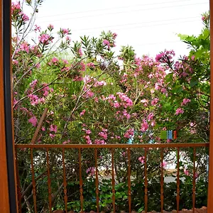 Poseidon Villa Dalyan
